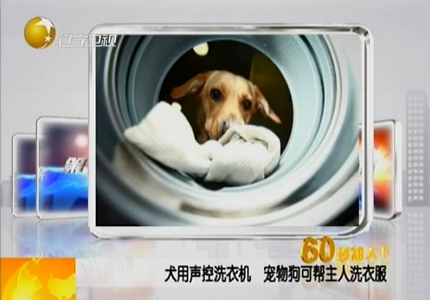 犬用声控洗衣机宠物狗可帮主人洗衣服